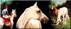 Flying Tessie & Valours Absolute - Oil Painting